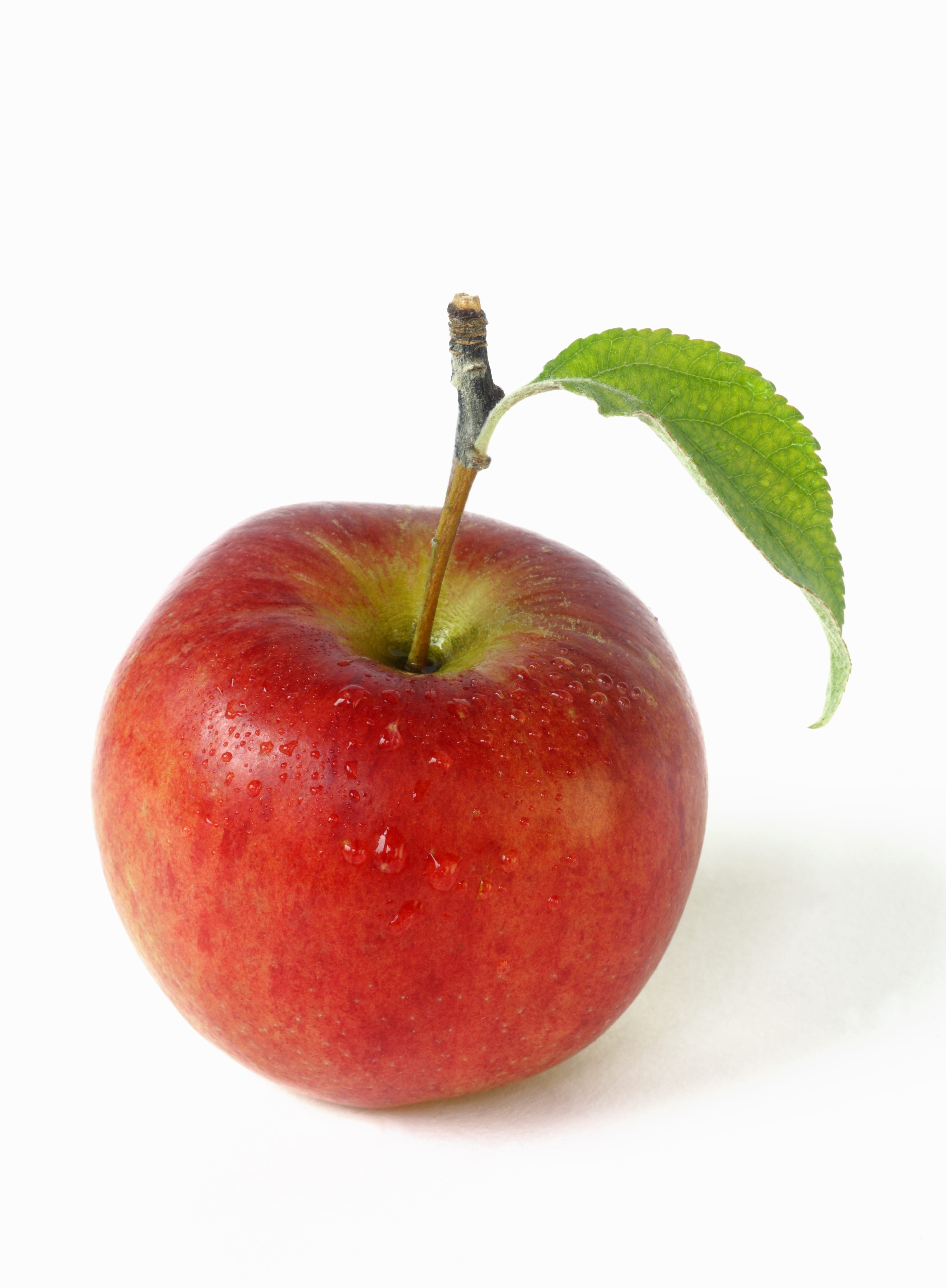 This is my logo, an image of an apple.